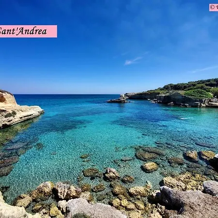 Villa Salento In -- Giuliana Torre Vado